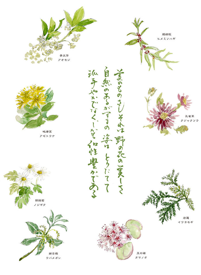 野の花の美しさ 石見銀山 群言堂オンラインストア 公式サイト