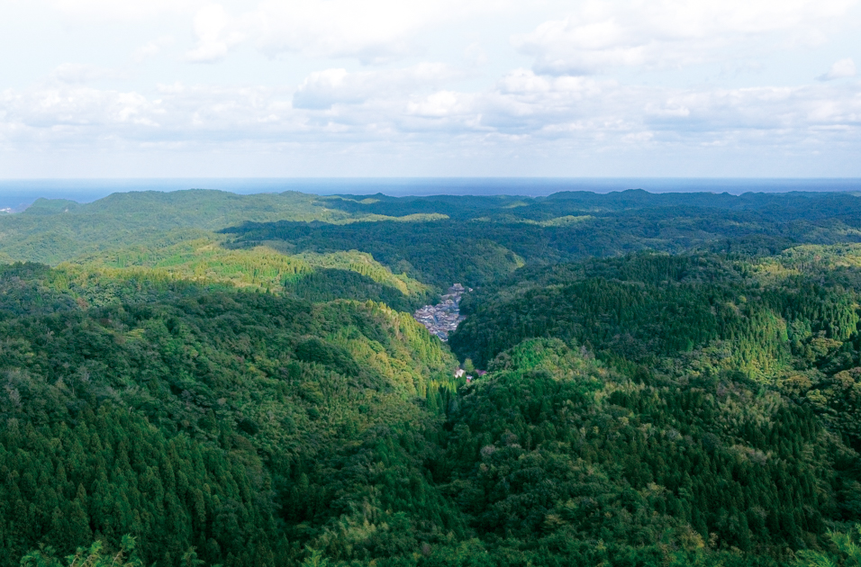 ⒈里山の暮らしに寄り添う植物の色をまとう。